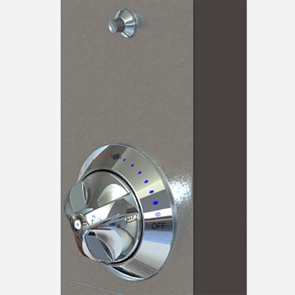 Option: Temperature Pressure Balancing Valve with Metering Valve in Riser