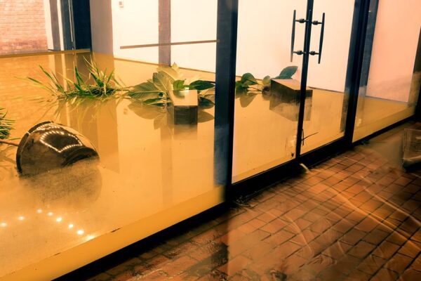 The Importance of Backwater Valves in Commercial & Industrial Systems