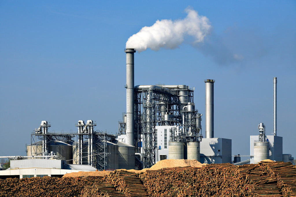Pulp and Paper Plant