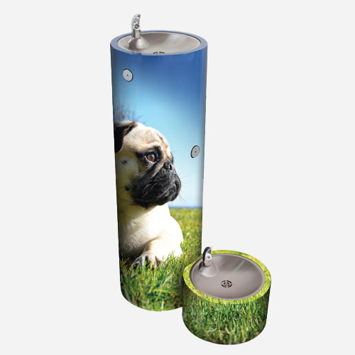 GRF35 Series Carousel File 6