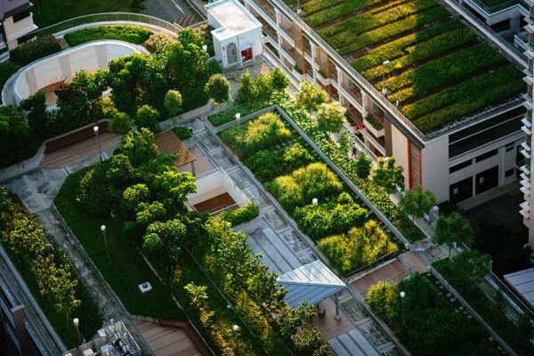 Economic Benefits of Green Roofs