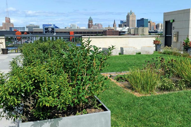 Roof Garden Milwaukee 768x512