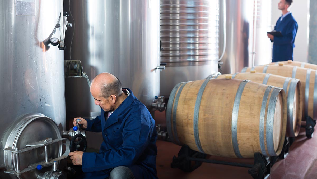 Stainless Steel Floor Drains for Food & Beverage Manufacturing