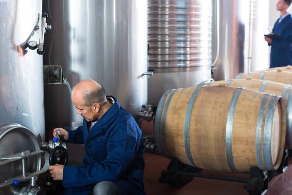 What Is Fermenting in Your Drains Might Ruin Your Wine, Beer, or Cheese Production