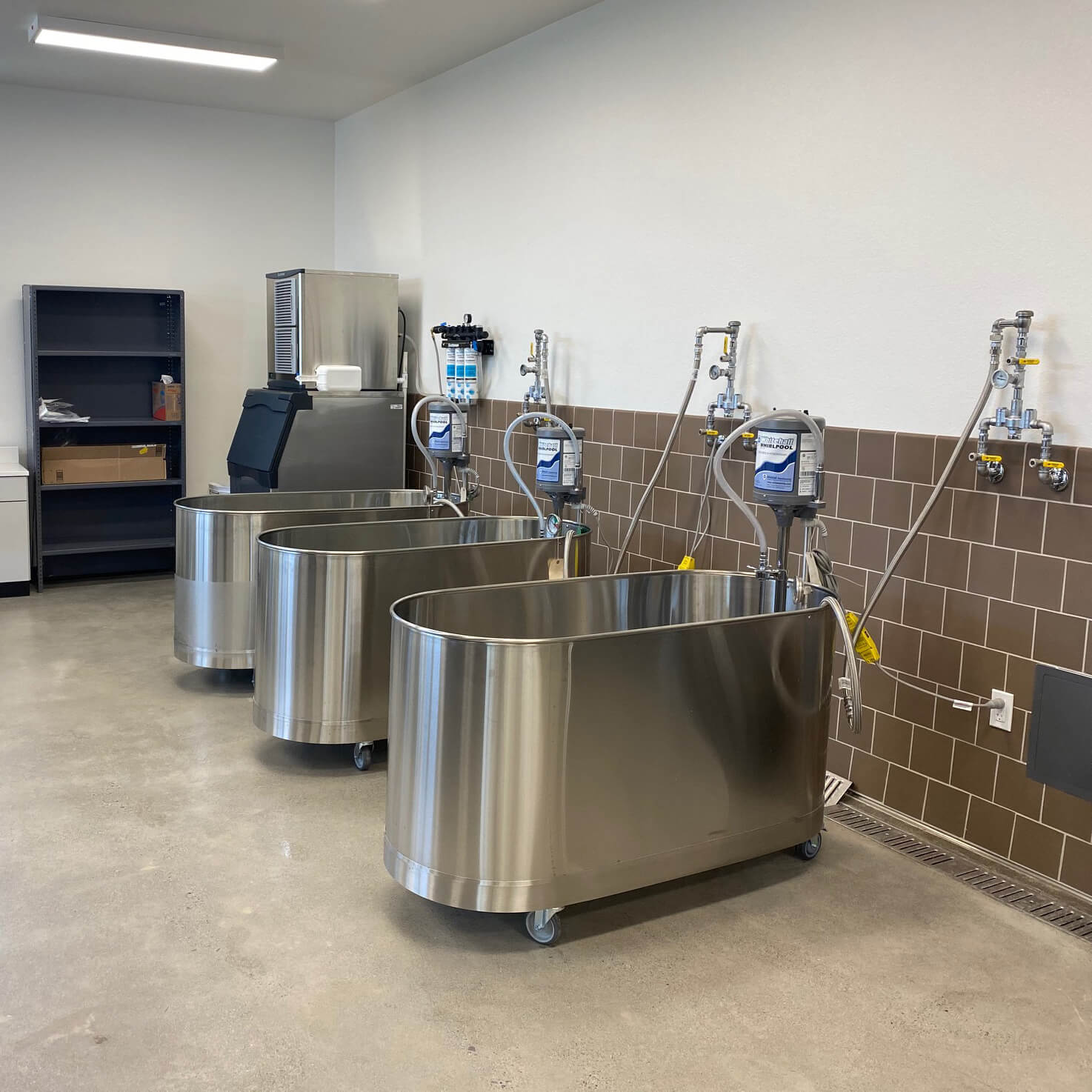 WHS-85-M Carousel File 4