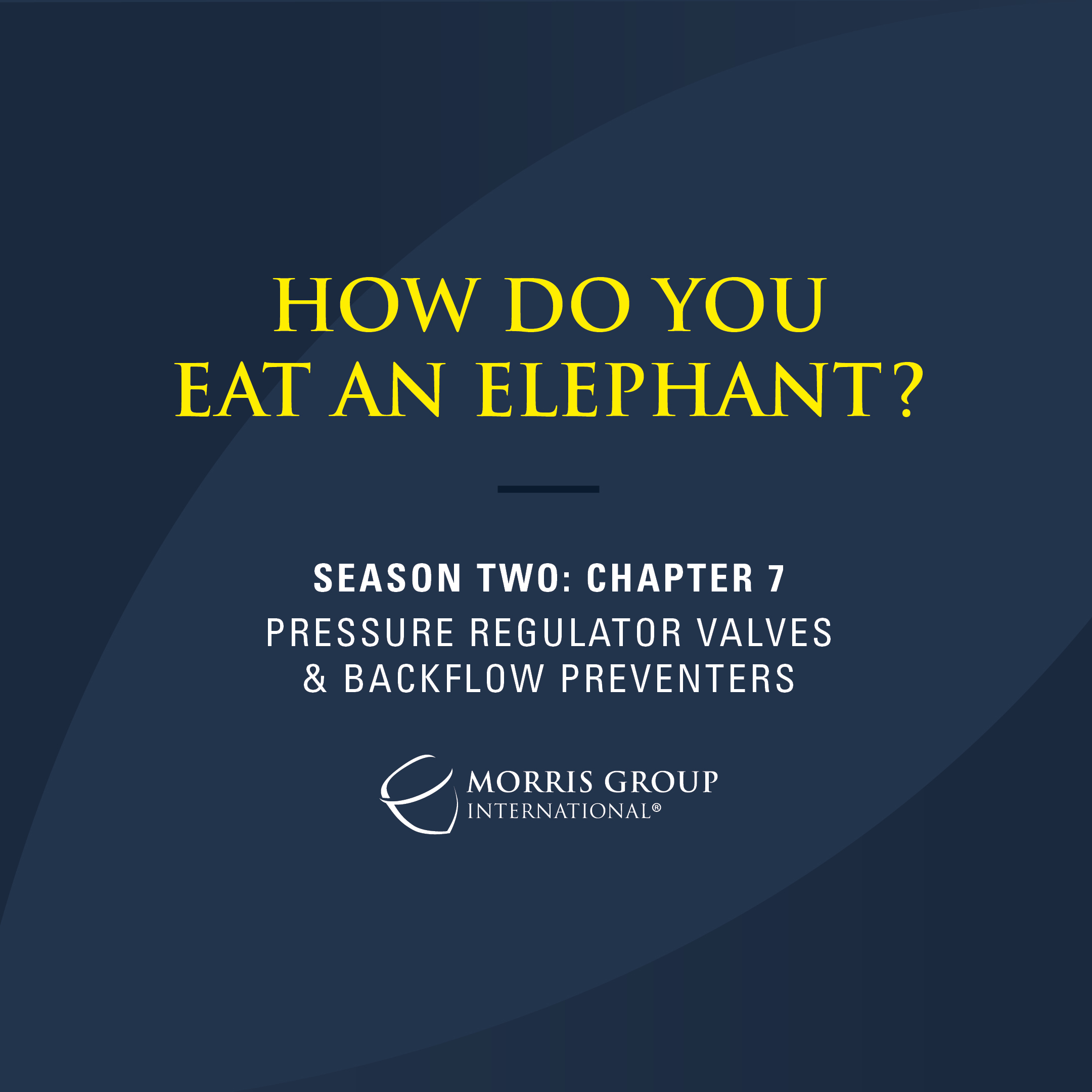 Morris Group International Releases Season Two, Chapter Seven Video: How Do You Eat An Elephant?