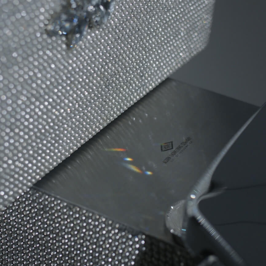 8950-BLING Carousel File 5