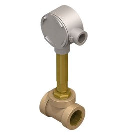 Accessory: Flow Switch 1-1/4-Inch NPTI