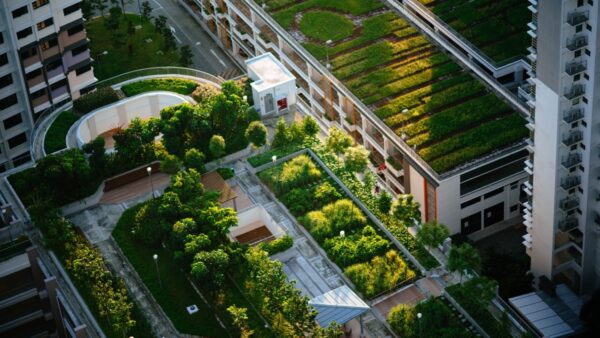Environmental Benefits of Green Roofs in Commercial and Institutional Building