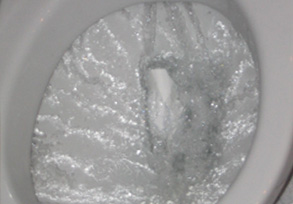 AVI Environmental jpg