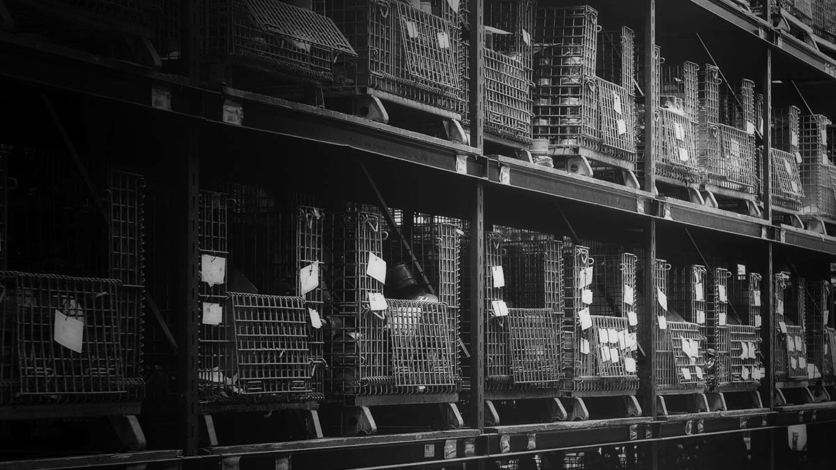 City of Industry Distribution Center