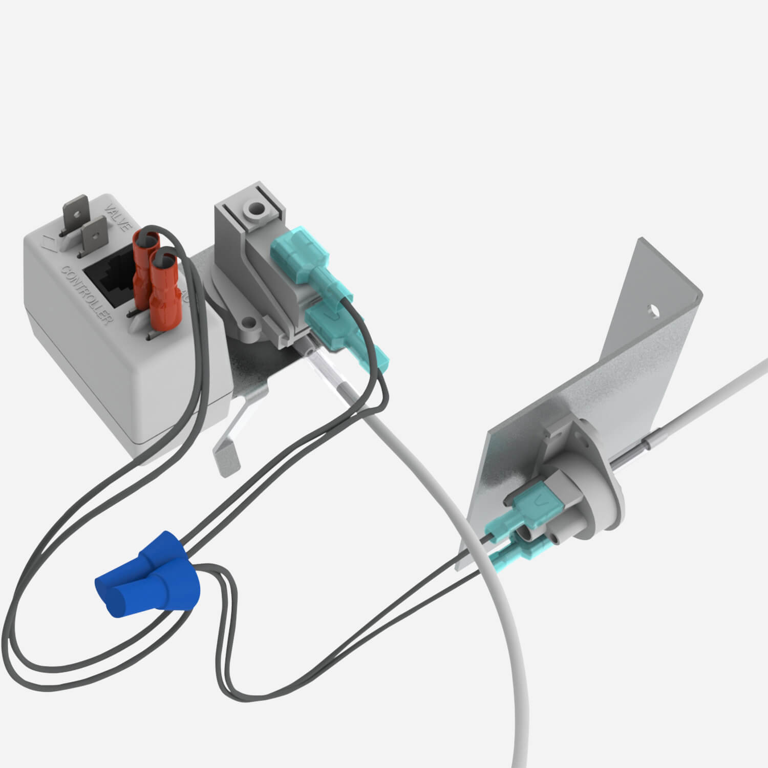 EVSFV-FTE Carousel File 2