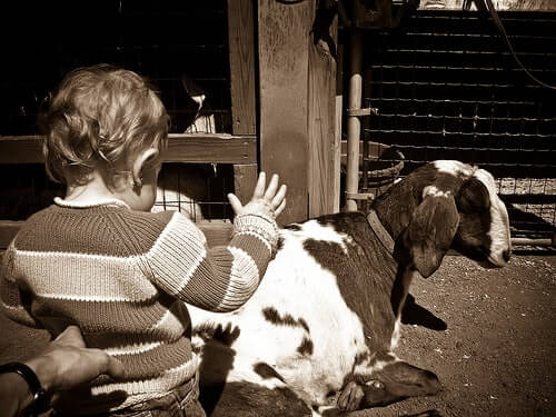 Custom Stainless Steel Hand Wash Stations for Philadelphia Zoo