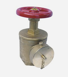 Fire Dept Valve