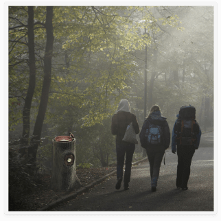 Outdoor Drinking Fountain in Custom Log Shape