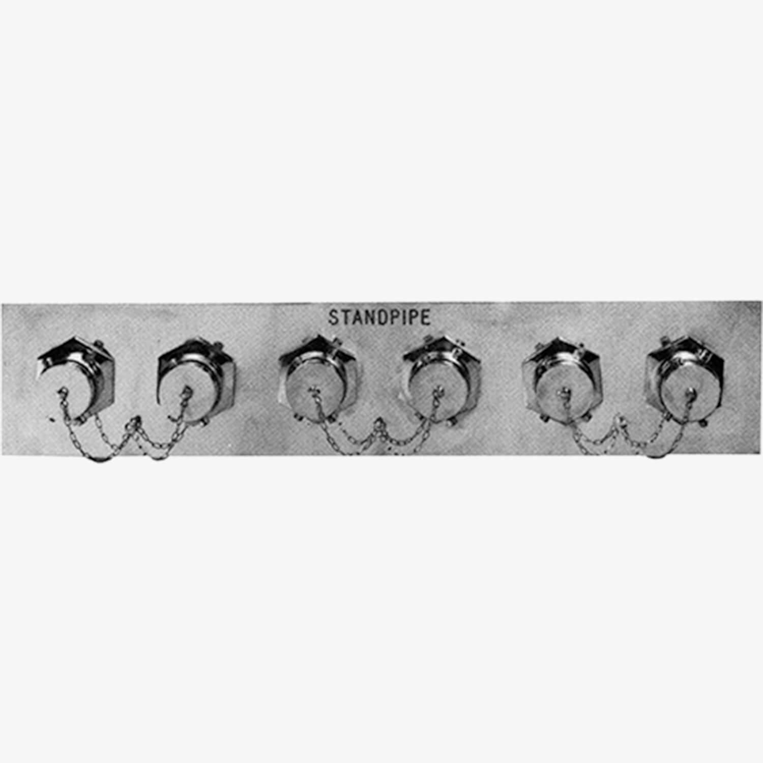 Six-Way Flush Clapper Body Inlet Type Fire Dept. Connection