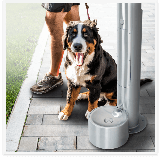 Outdoor Pet Drinking Fountains