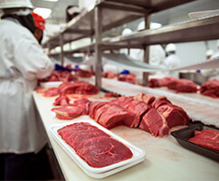 Food Processing