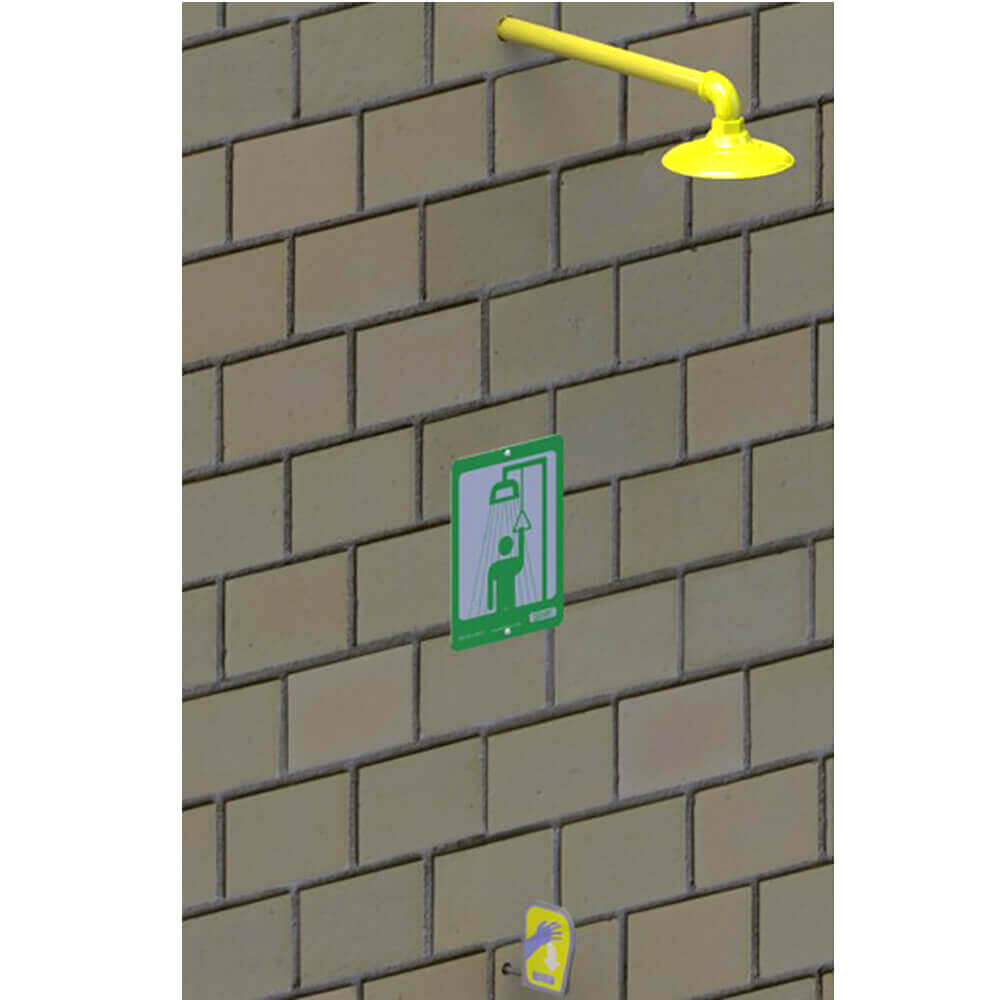 Freeze-Resistant Horizontal Mount Safety Shower
