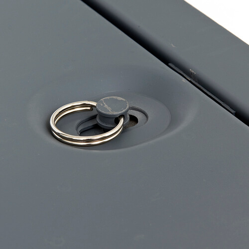 4768 Carousel File 5