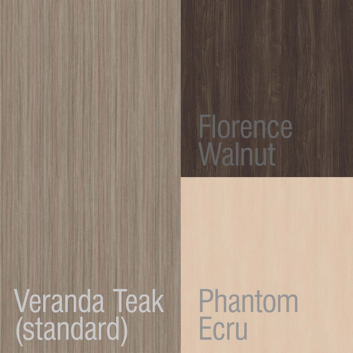 WH3743 Carousel File 4