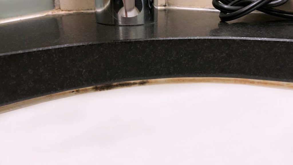 Mold often grows in overlooked crevices.