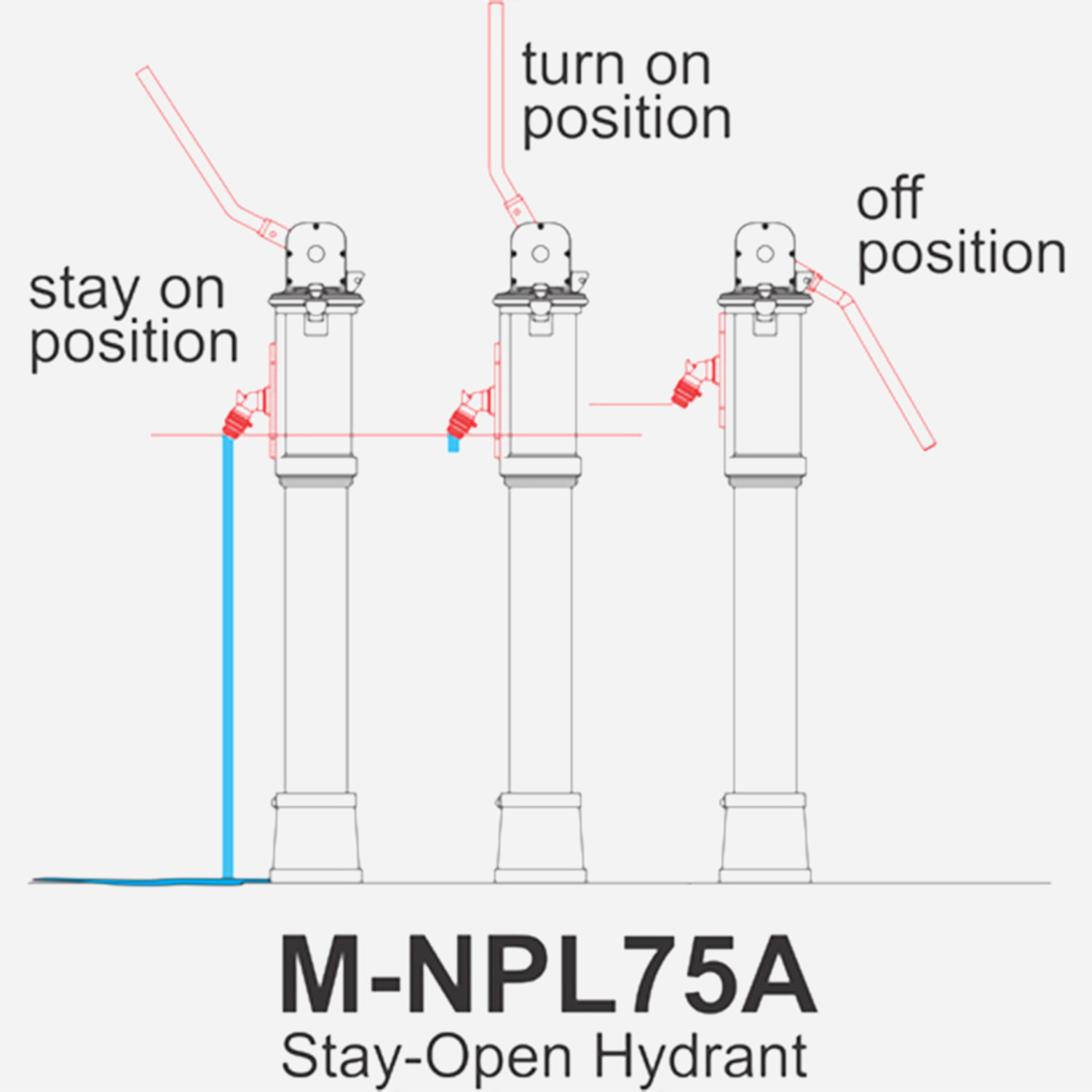 MM 0131019475823121309 jpg