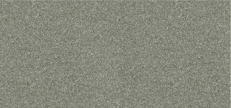 EG 02 Quicksilver Enviro-Glaze Powder Coating for Stainless Steel