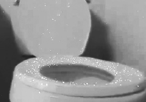 AVI Health Authorities jpg