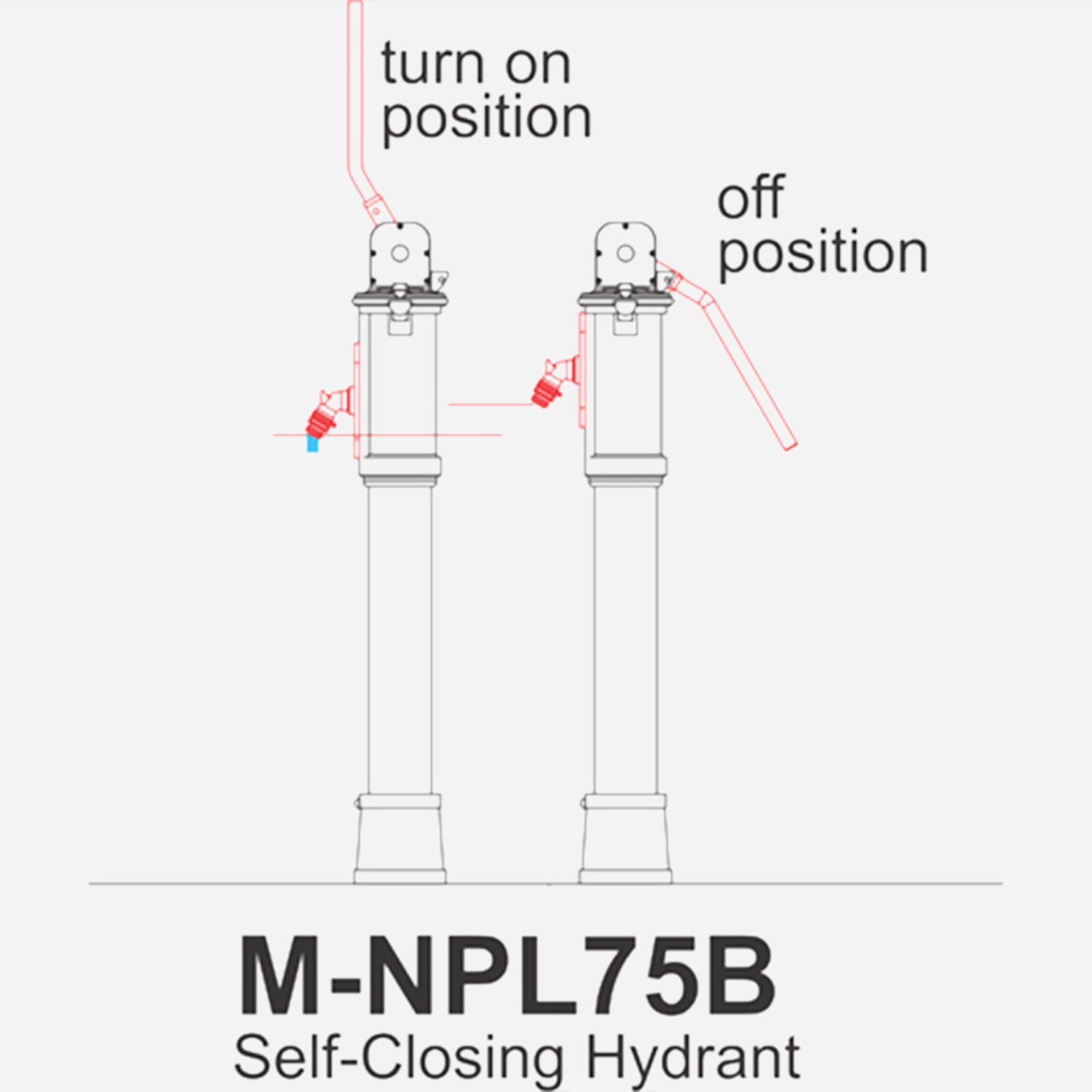 MM 0131019476115153309 jpg