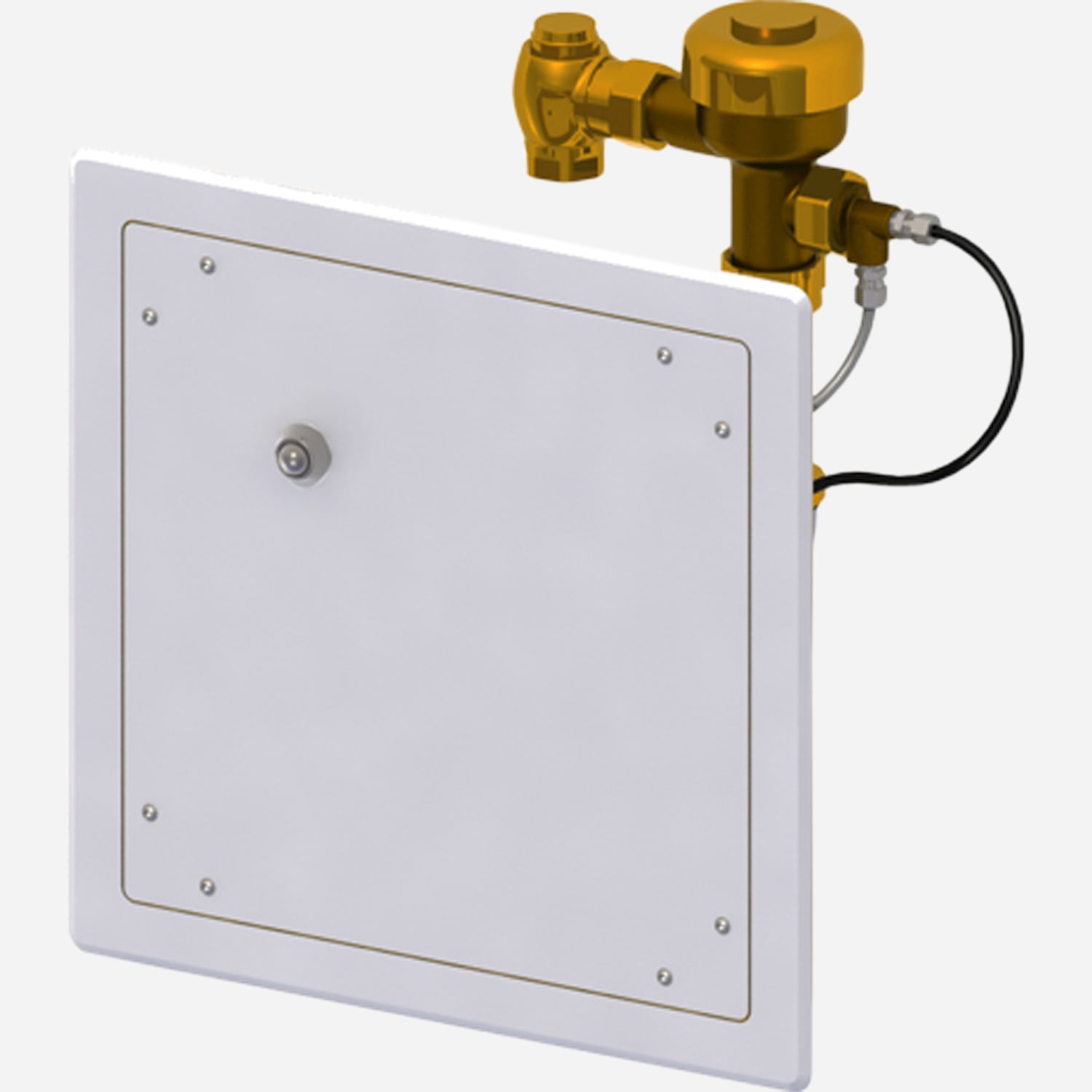 BestCare® Ligature-Resistant Access Panel with Hydraulic Flush Valve