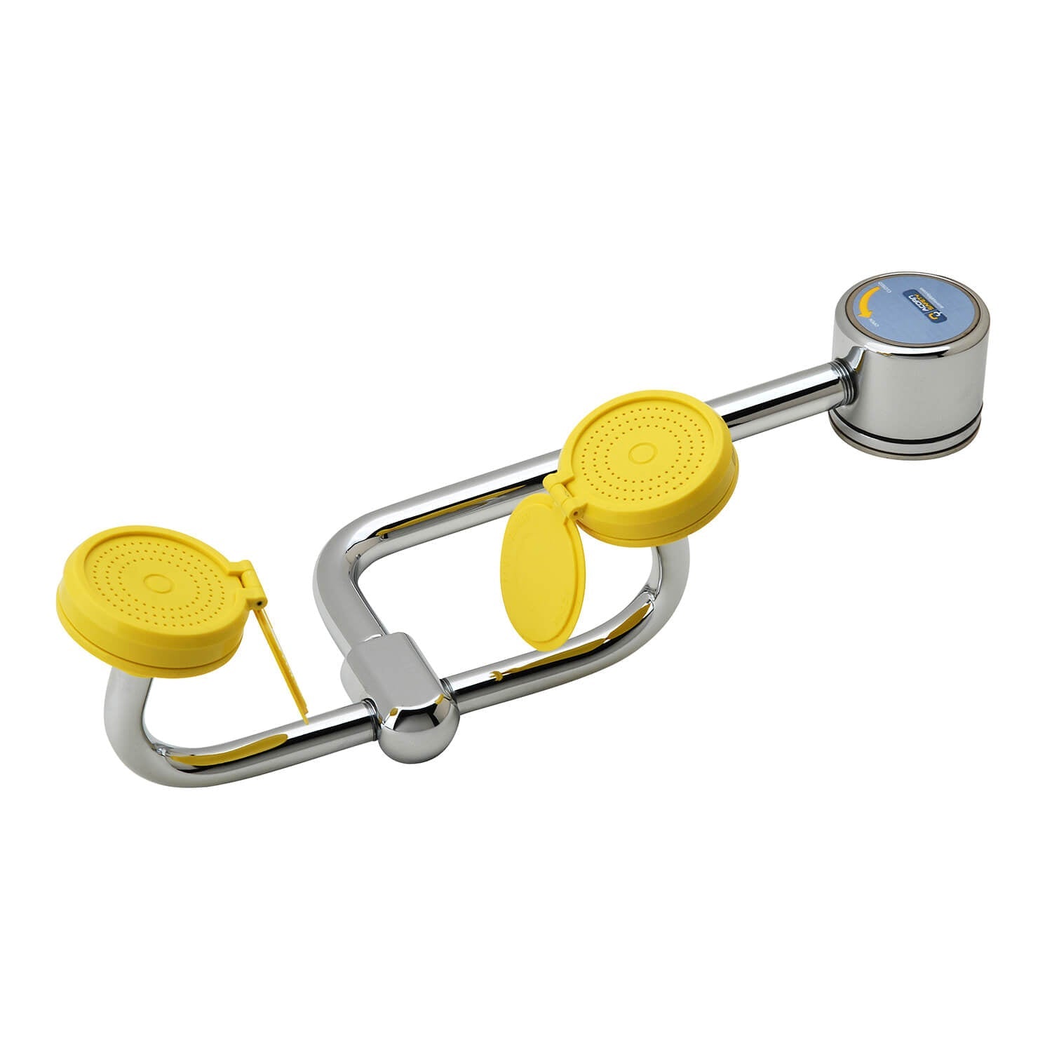 Deck Mount, Swivel Eye-Face Wash Station