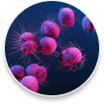 hygienic stainless steel physical therapy stairs for training, occupational therapy