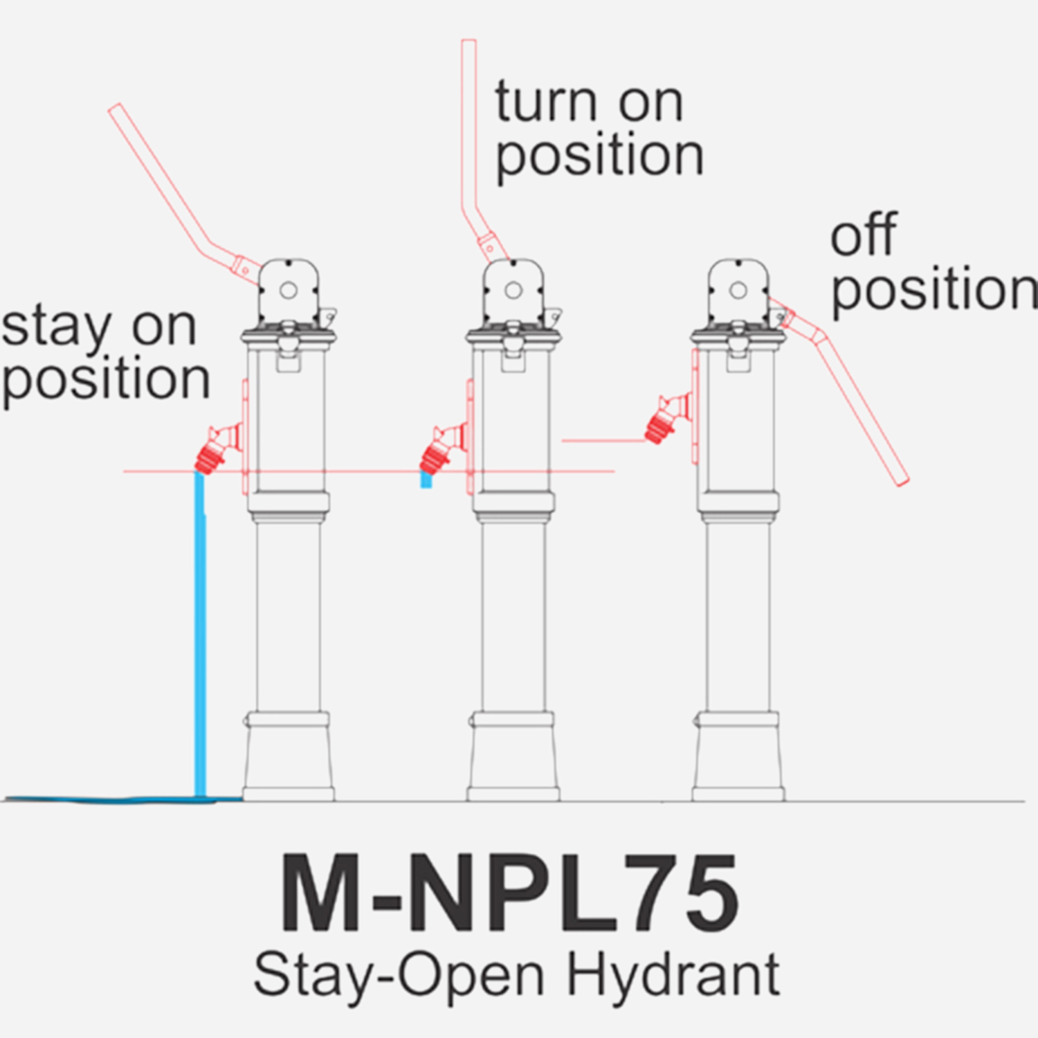 M-NPL75 Carousel File 4