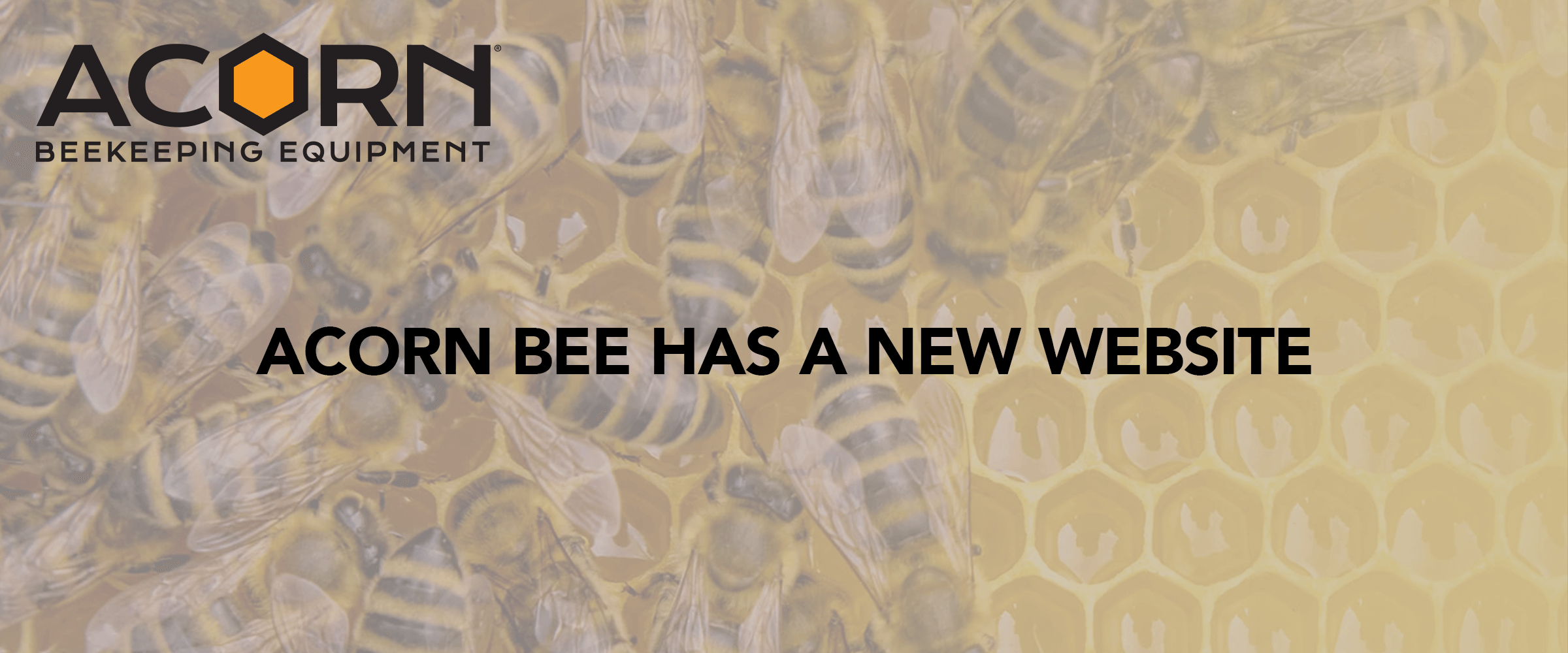 Acorn Bee Has a New Website