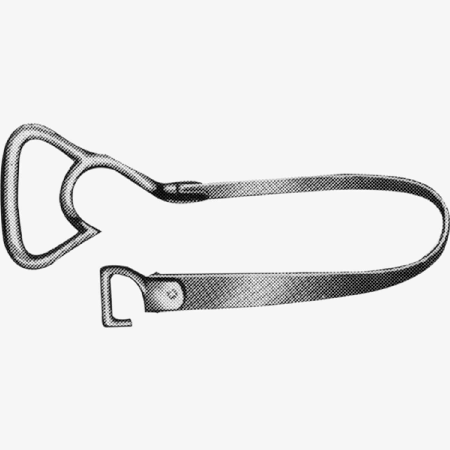 Hose & Ladder Strap